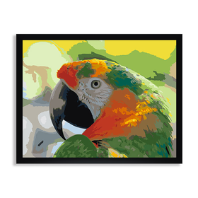 Разноцветный ара
